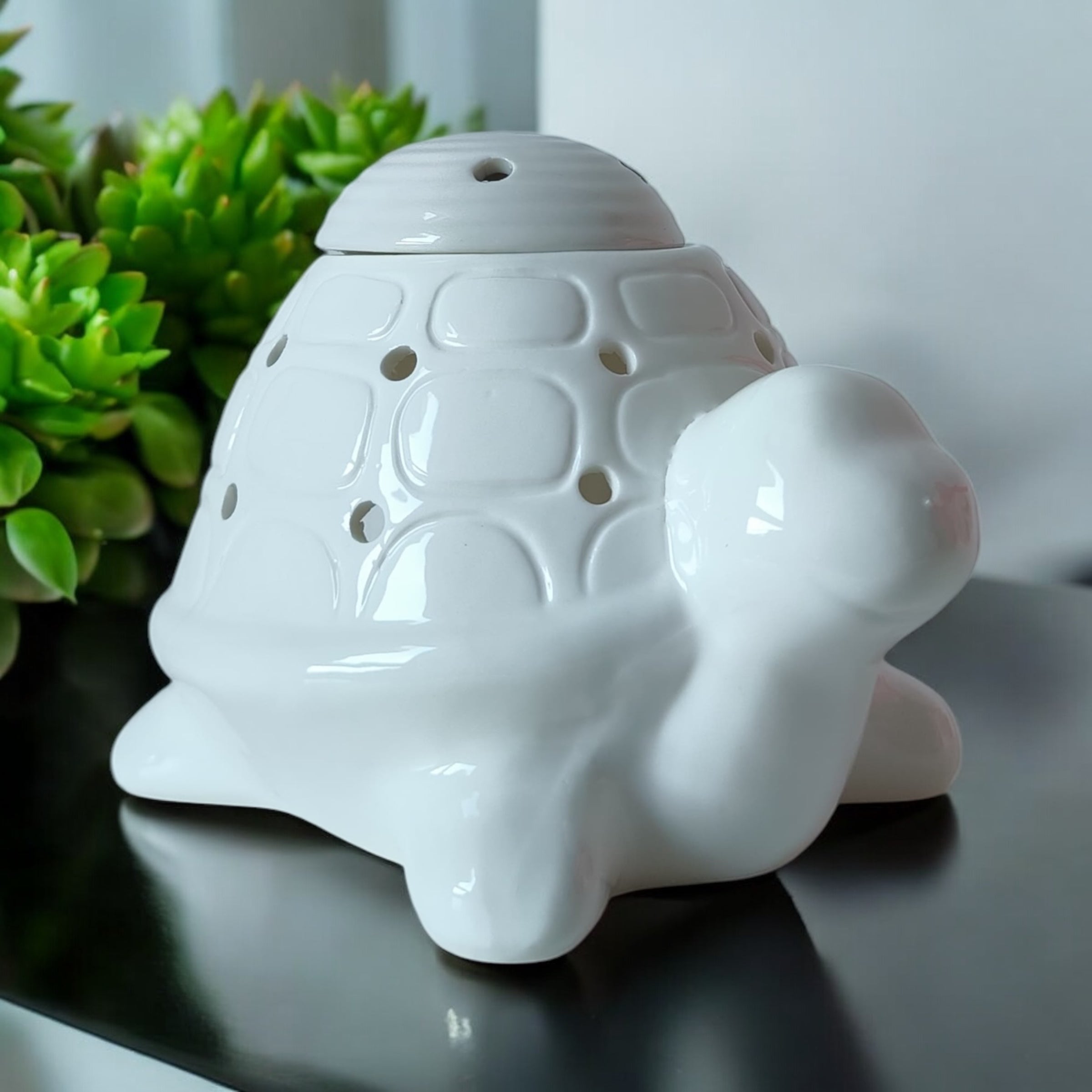 Brûle Parfum | Tortue