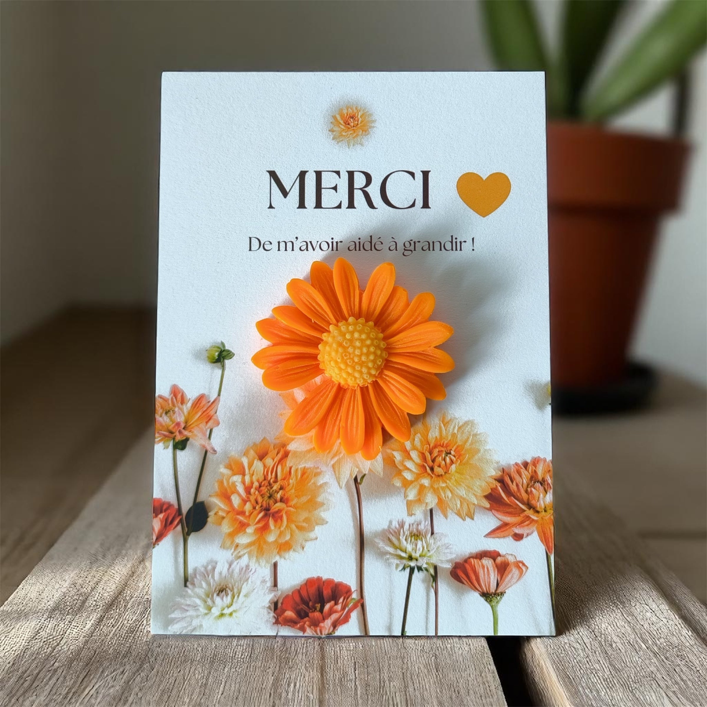 Cadeau parfumé pour Maîtresse | Fleur de coton