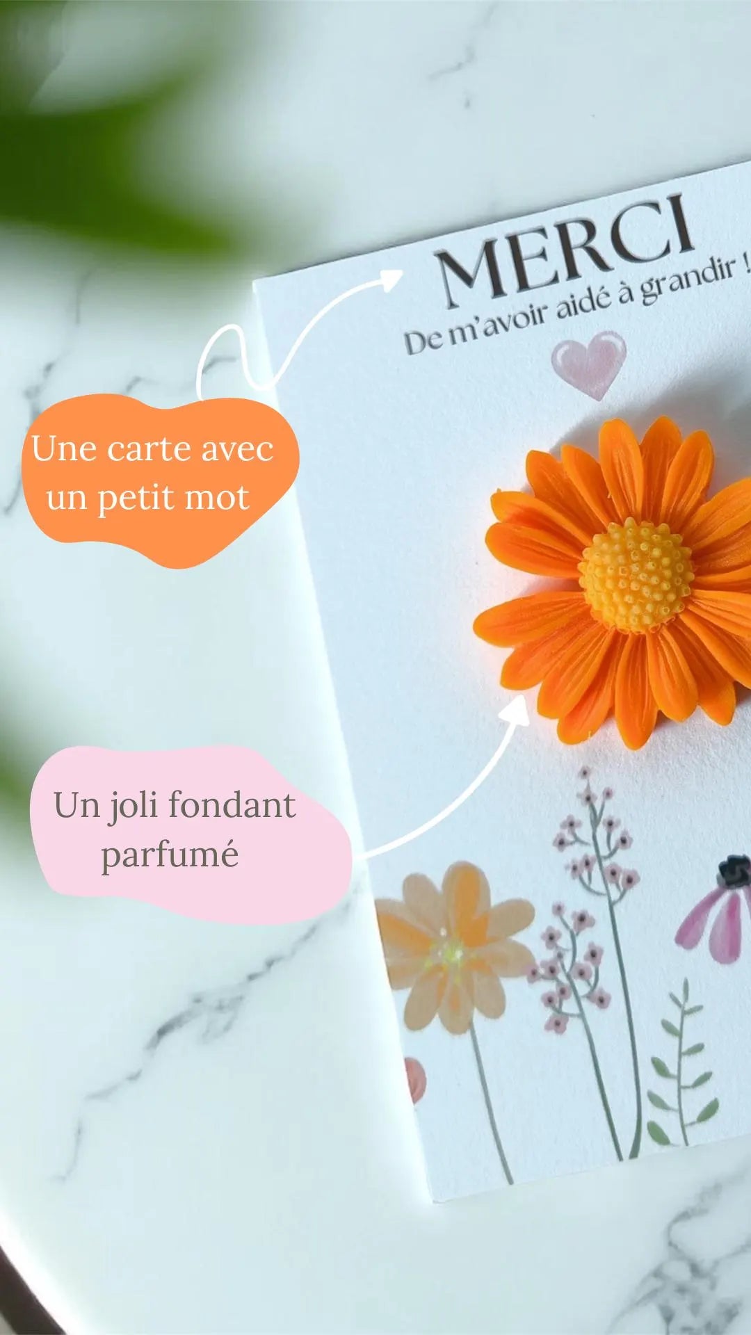 Cadeau parfumé pour Maîtresse | Fleur de coton